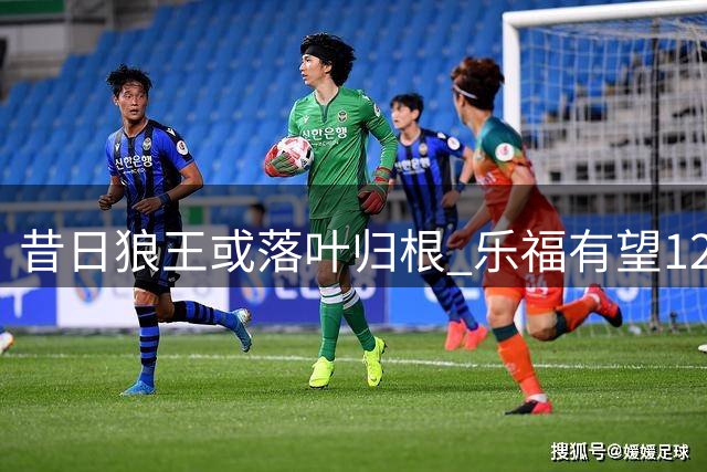 昔日狼王或落叶归根 乐福有望12年后重返森林狼